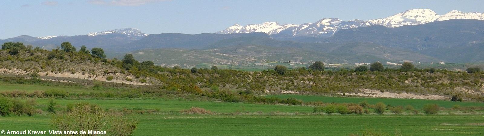 17. 13Toulouse-S (809) vóór Mianos, uitzicht naar het noorden op de Pyreneeën