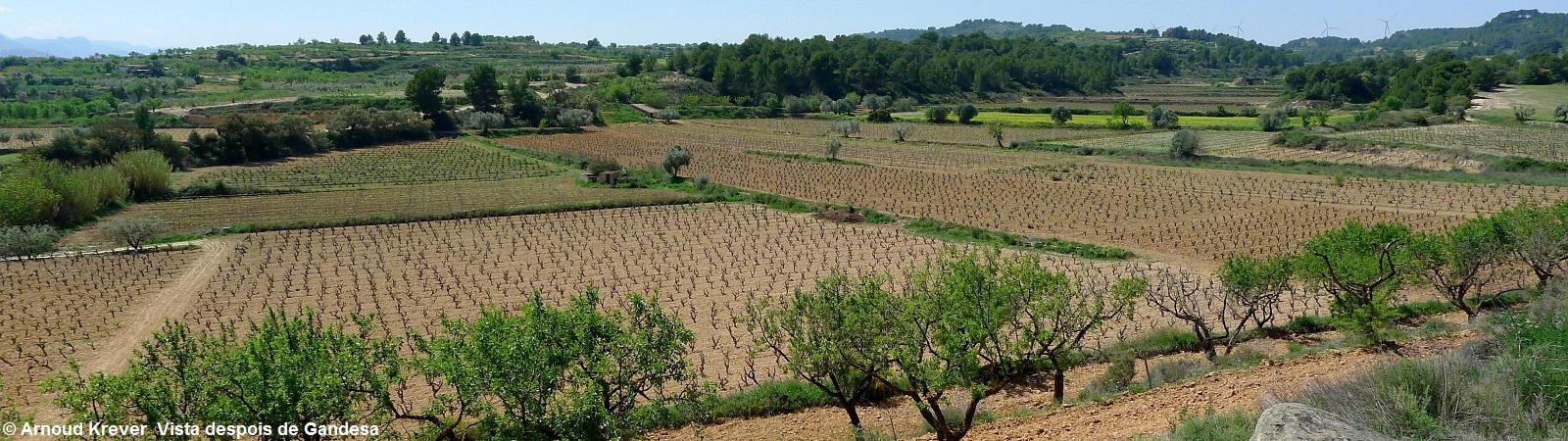 17Ebro (518) Uitzicht op wijngaarden voorbij Gandesa