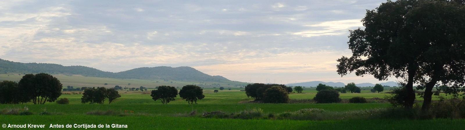 15Lana (583) Landschap voor Cortijada de la Gitana