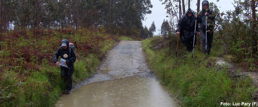 2012 Costa-Norte (1320b) Een waterplas voorbij lopen