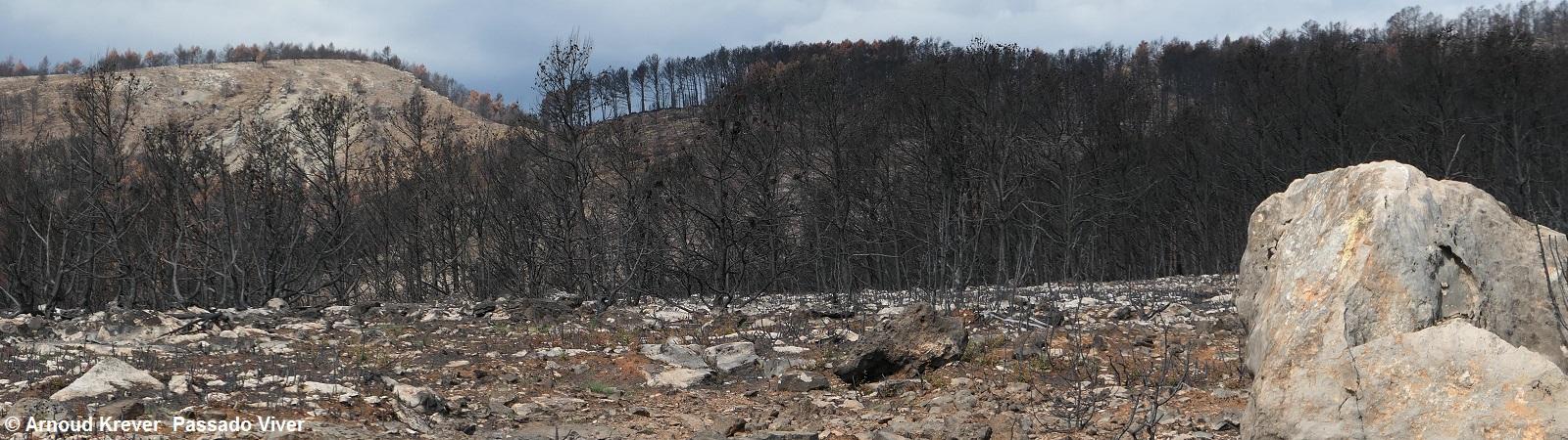 22 Sagunt (444) Voorbij Viver, bosbrand geweest