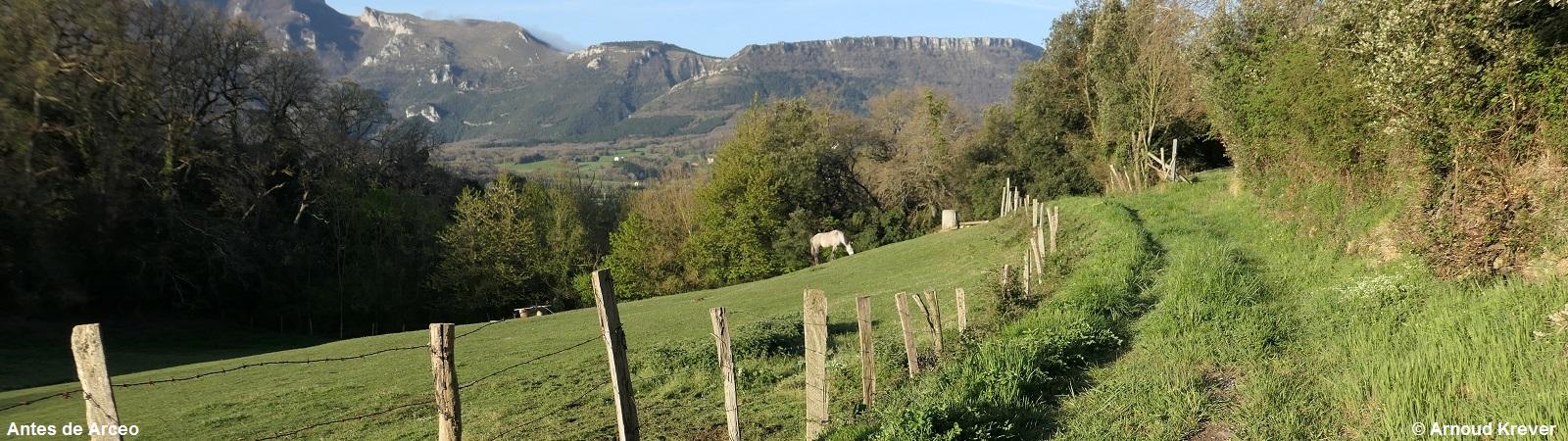 22Olv (145) Tussen BU-V-5545 en Arceo