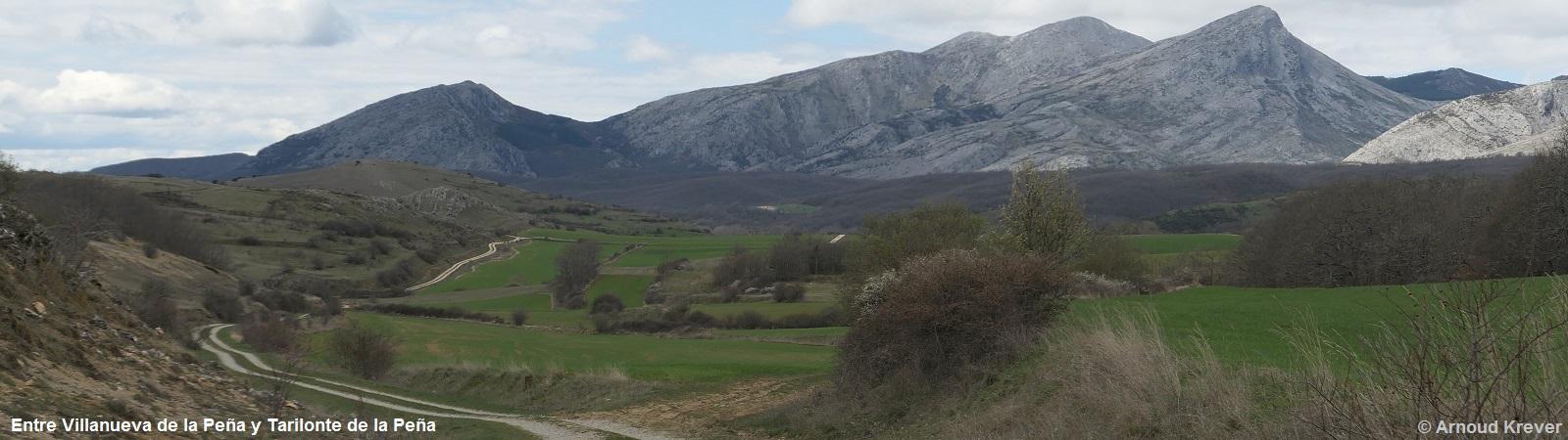 22Olv (660) Tussen Villanueva de la Pena en Tarilonte de la Pena, camino en uitzicht