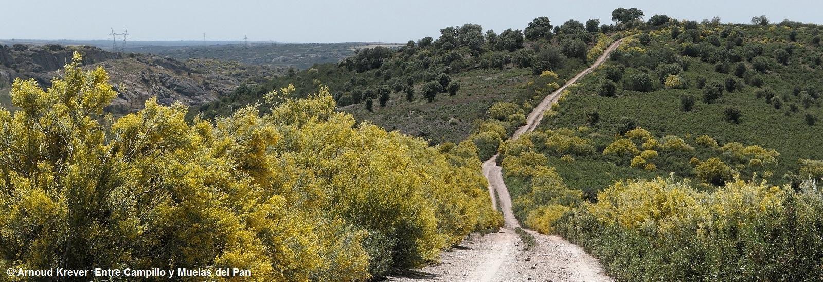 23PlataP (1815) Pad naar La Gallerina niet nemen