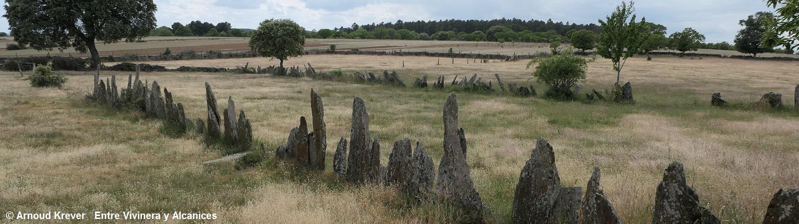 23PlataP (2138) Naar Alcanices, platte stenen als veldafscheiding