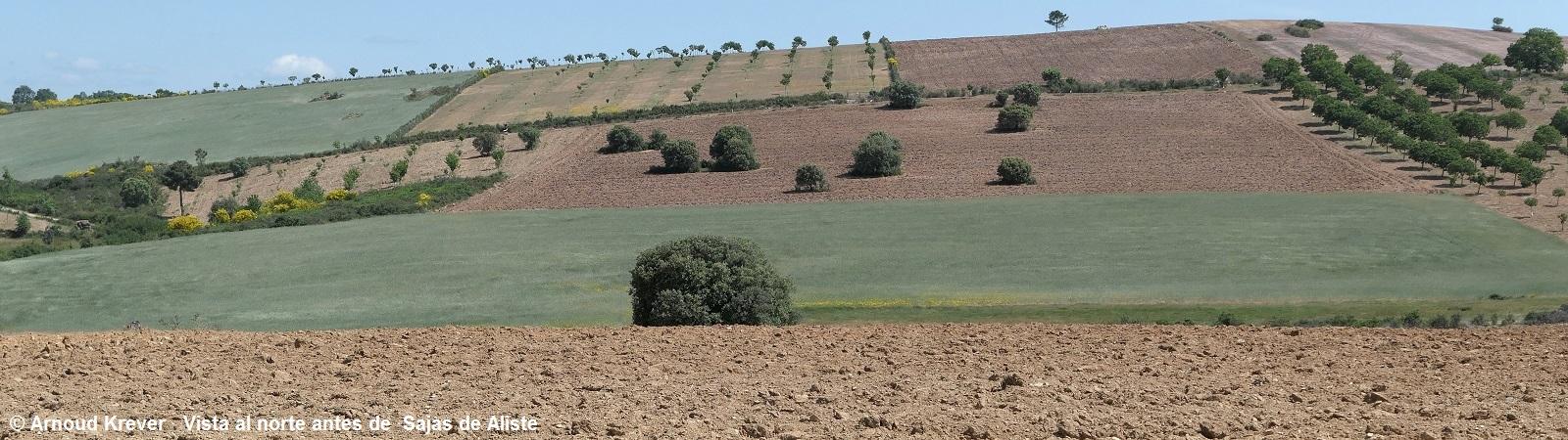 23PlataP (2247) Uitzicht naar het noorden voor Sajas de Aliste