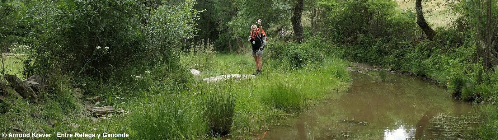 23PlataP (2734) Voor Palacios, nu Annet nog